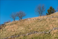 88250 - La Bresse.  Le Droit.