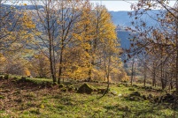 88250 - La Bresse.  Le Droit.