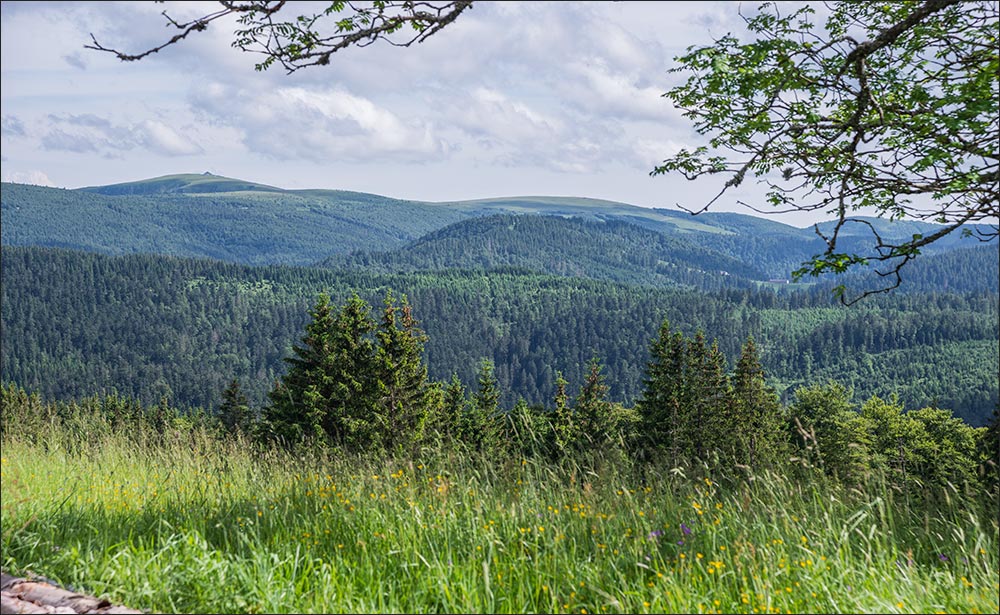 88-Chaume de Sérichamp.