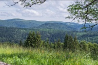 88-Chaume de Sérichamp.  Point de vue sur les Crêtes. : 88,Chaume,Sérichamp