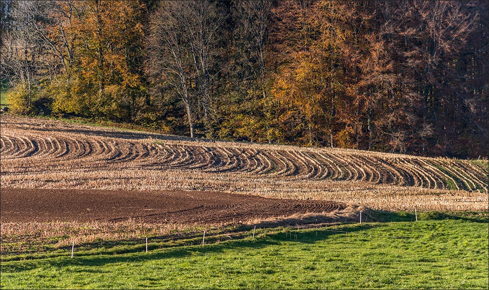 88430-Arrentès de Corcieux.