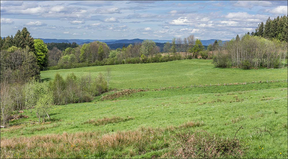 88430-Arrentès de Corcieux.