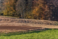 88430-Arrentès de Corcieux.