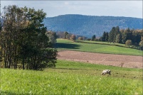 88430-Arrentès de Corcieux.