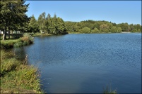 88600-La Chapelle devant Bruyères.  Les Etangs.