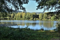 88600-La Chapelle devant Bruyères.  Les Etangs.
