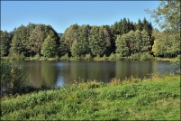 88600-La Chapelle devant Bruyères.  Les Etangs.