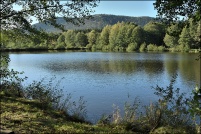 88600-La Chapelle devant Bruyères.  Les Etangs.