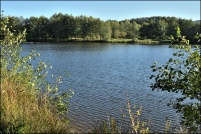 88600-La Chapelle devant Bruyères.  Les Etangs.