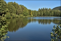88600-La Chapelle devant Bruyères.  Les Etangs.