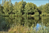 88600-La Chapelle devant Bruyères.  Les Etangs.