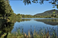 88600-La Chapelle devant Bruyères.  Les Etangs.