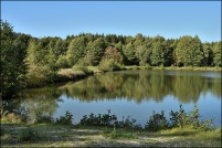 88600-La Chapelle devant Bruyères.  Les Etangs.