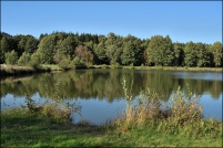 88600-La Chapelle devant Bruyères.  Les Etangs.