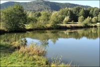 88600-La Chapelle devant Bruyères.  Les Etangs.
