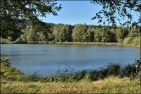 88600-La Chapelle devant Bruyères.  Les Etangs.