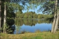 88600-La Chapelle devant Bruyères.  Les Etangs.