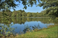 88600-La Chapelle devant Bruyères.  Les Etangs.