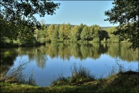 88600-La Chapelle devant Bruyères.  Les Etangs.