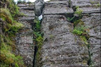 88120-Basse-sur-le Rupt.  Le Haut du Roc. Sentier du tour des roches. : 88,Basse,sur,le,Rupt,Haut,du,Roc