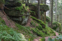 88120-Basse-sur-le Rupt.  Sentier du tour des roches. : 88,Basse,sur,le,Rupt,Haut,du,Roc
