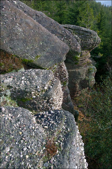 88430-La Houssière.