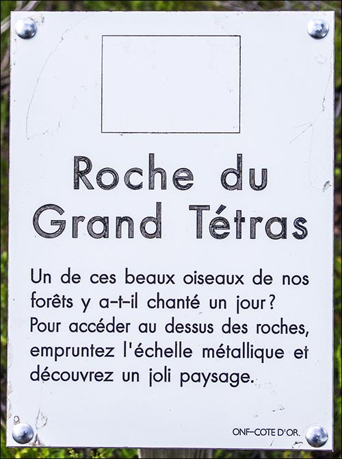 88600-Roche-du-Grand-Tetras-01