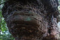 88600-Belmont-sur-Buttant.  Roche du Pain de Poires.