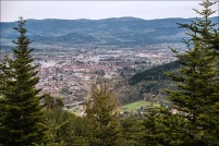 88100-Saint-Dié-des-Vosges.  Les roches de Bihai. Altitude: 620m.