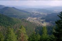 88100 - Le village de Taintrux.
