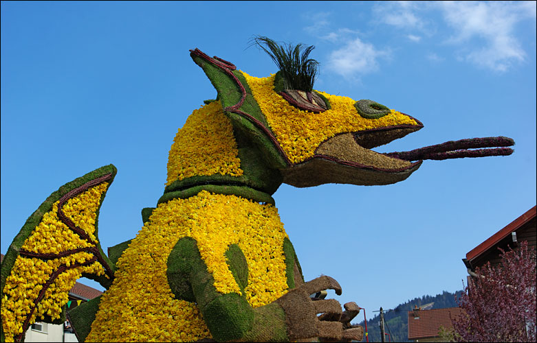 Fête des jonquilles 2011.