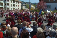 Fête des jonquilles 2011. : 88,Gérardmer,fête,jonquilles