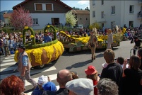 Fête des jonquilles 2011.  Crocodiles’family. (Philippe Ruaux, Saulxures / Moselotte) - 5ème prix des chars moyens. : 88,Gérardmer,fête,jonquilles