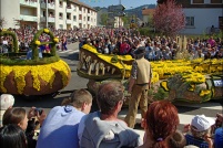 Fête des jonquilles 2011.  Crocodiles’family. (Philippe Ruaux, Saulxures / Moselotte) - 5ème prix des chars moyens. : 88,Gérardmer,fête,jonquilles