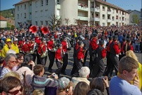 Fête des jonquilles 2011. : 88,Gérardmer,fête,jonquilles