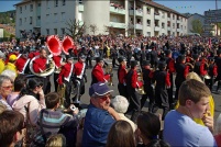 Fête des jonquilles 2011. : 88,Gérardmer,fête,jonquilles