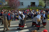 Fête des jonquilles 2011. : 88,Gérardmer,fête,jonquilles