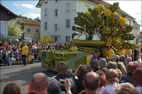 Fête des jonquilles 2011.  Char de la Reine. : 88,Gérardmer,fête,jonquilles