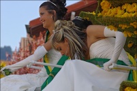 Fête des jonquilles 2011.  Char de la Reine. Johanna, Reine. : 88,Gérardmer,fête,jonquilles
