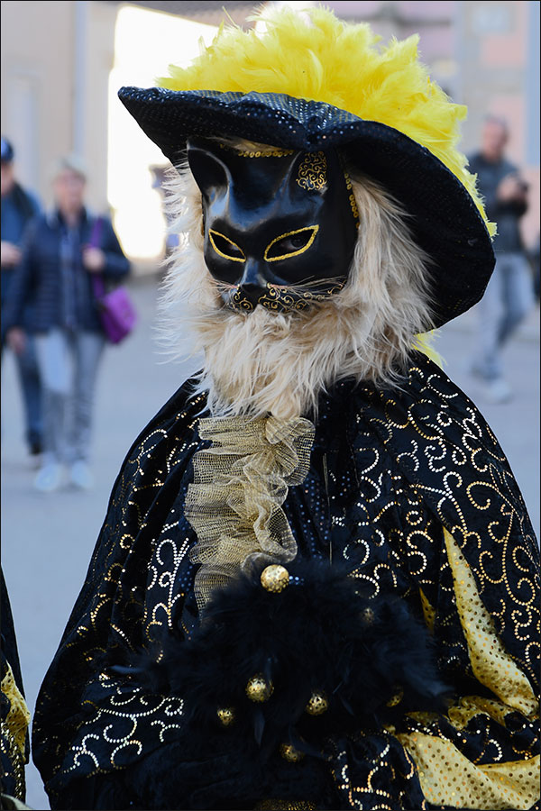 Carnaval vénitien de Remiremont 2019.