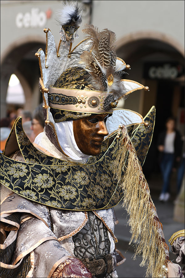 Carnaval vénitien de Remiremont 2019.