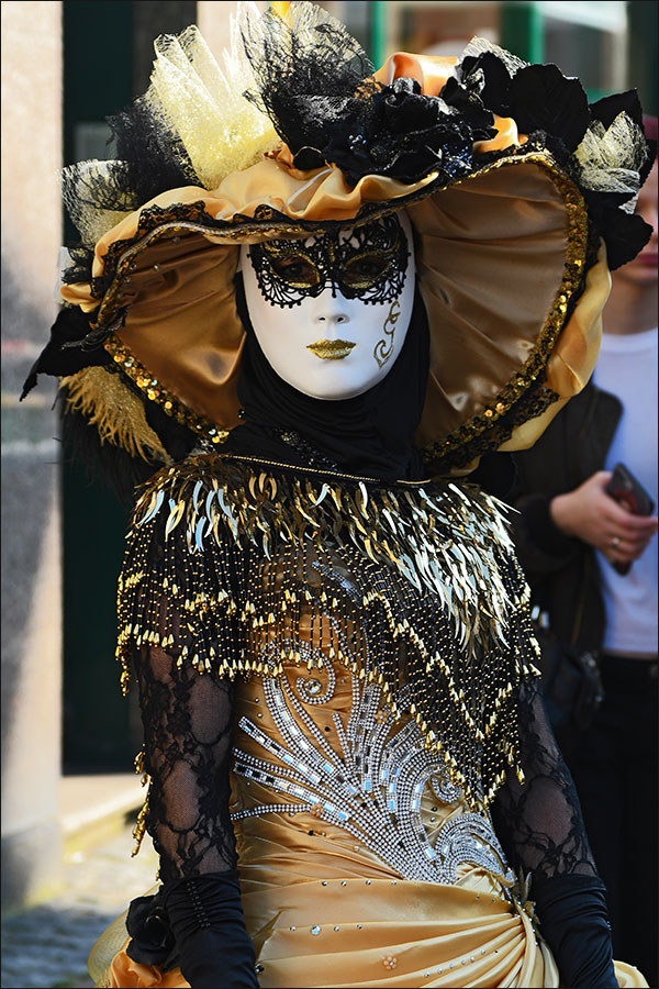 Carnaval vénitien de Remiremont 2019.