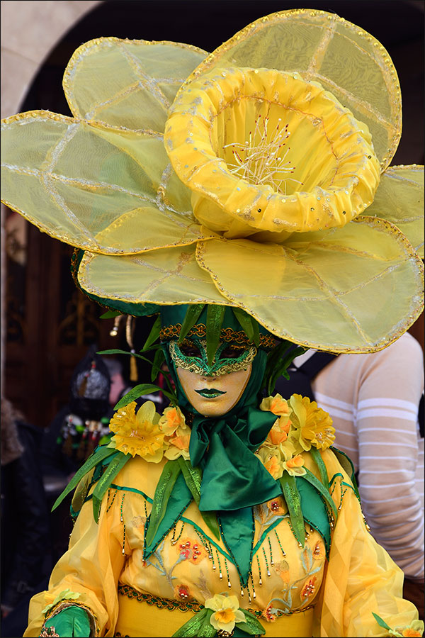 Carnaval vénitien de Remiremont 2019.