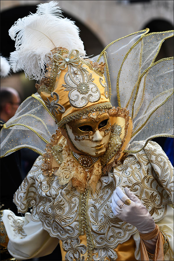 Carnaval vénitien de Remiremont 2019.