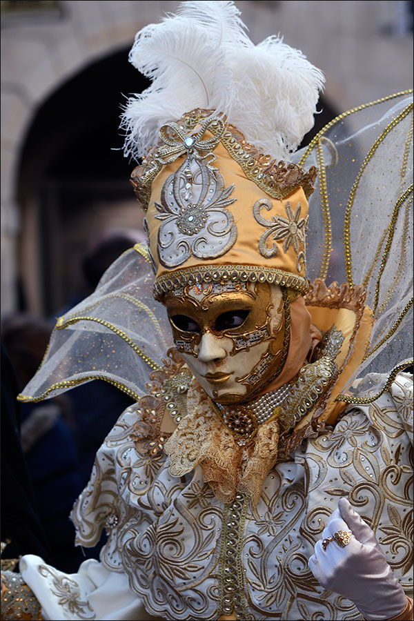 Carnaval vénitien de Remiremont 2019.