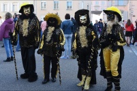 Carnaval vénitien de Remiremont 2019.