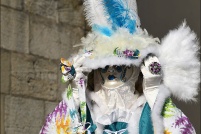 Carnaval vénitien de Remiremont 2019.