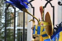 Carnaval vénitien de Remiremont 2019.