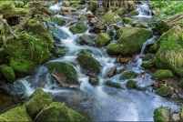 88-Le Ruisseau du Molfaing.