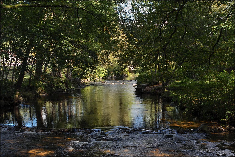 88540-Les Evelines, commune de Granges-sur-Vologne.